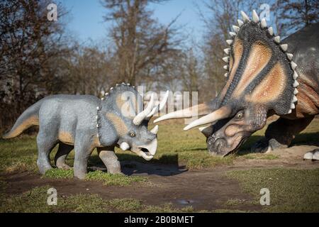 Lubin, POLONIA - 8 DE FEBRERO de 2020 - modelo Realista de triciratos de dinosaurio en el Parque Wroclawski. El parque es una atracción turística muy conocida para los niños en t. Foto de stock
