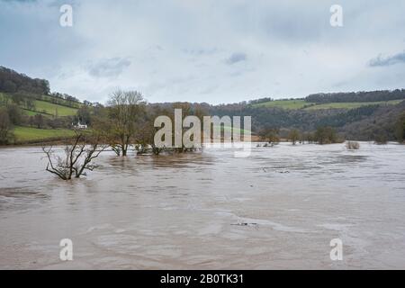 El río Wye en spate en Bigswoir en la frontera de Monmouthshire - Gloucestershire. Febrero De 2020. Foto de stock