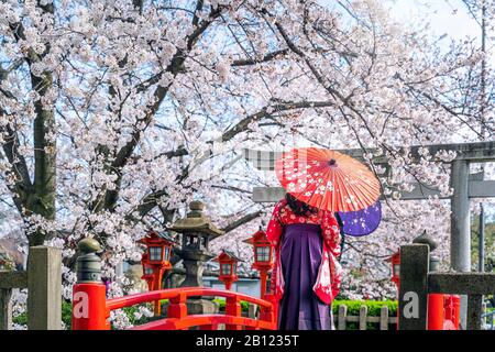 Mujer Asiática vistiendo kimono tradicional japonés y los cerezos en flor en primavera, templo de Kyoto en Japón. Foto de stock