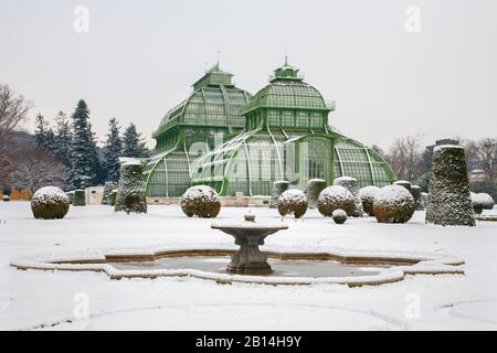 Viena, AUSTRIA - 15 DE ENERO de 2013: Los Invernaderos del palacio de Schonbrunn en invierno. Glasshouses fue inaugurado en 1882.