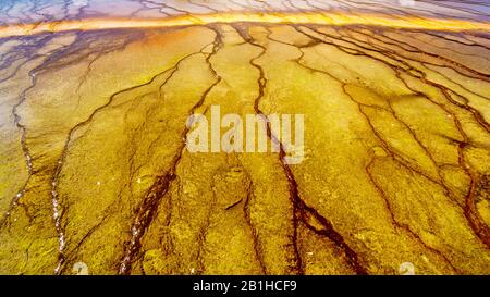 Los Coloridos Sombreros Bacterianos Del Grand Prismatic Spring En Yellowstone National Park, Wyoming, United Sates