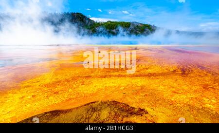 Los Coloridos Sombreros Bacterianos Del Grand Prismatic Spring En Yellowstone National Park, Wyoming, United Sates