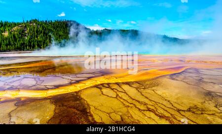 Los Coloridos Sombreros Bacterianos Del Grand Prismatic Spring En Yellowstone National Park, Wyoming, United Sates