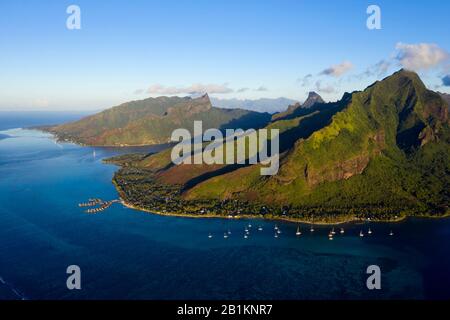 Vista Aérea De Cook'S Bay Y Opunohu Bay, Moorea, Polinesia Francesa
