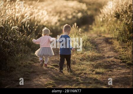 feliz infancia, un niño rubio y una niña corren a través de un campo de trigo en la luz de la puesta de sol y mantener las manos Foto de stock