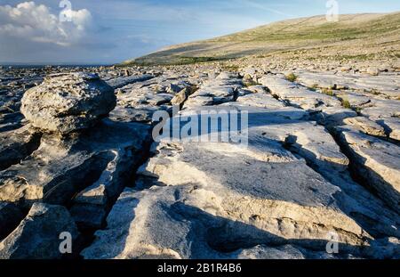 Roca errática encaramada, depositada por hielo y posteriormente erosionada en pavimento de piedra caliza cerca de Black Head, The Burren, County Clare, Irlanda Foto de stock