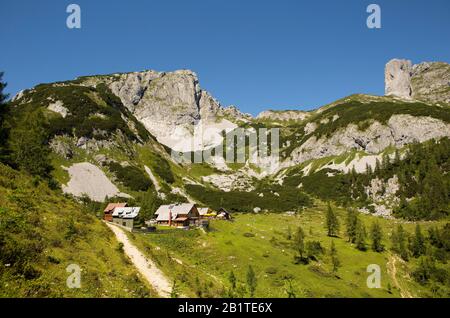 Totes Gebirge, cabañas alpinas en el Tauplitz Alm, Tauplitz, Salzkammergut, Estiria, Austria Foto de stock