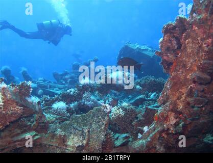 Rack, Rotes Meer, Aegypten