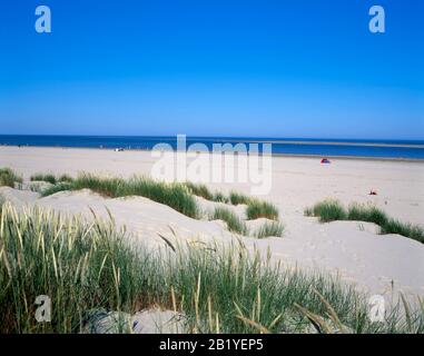 Playa y dunas, Isla Terschelling, Mar del Norte, Frisia, países Bajos, Europa