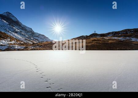 Valmalenco (IT) - Lago congelado con Pizzo Scalino en el fondo Foto de stock