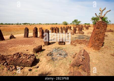 Varios círculos como parte del complejo del Círculo de Piedra de Wassu, los sitios de entierro de la Edad de Hierro, Gambia. Foto de stock