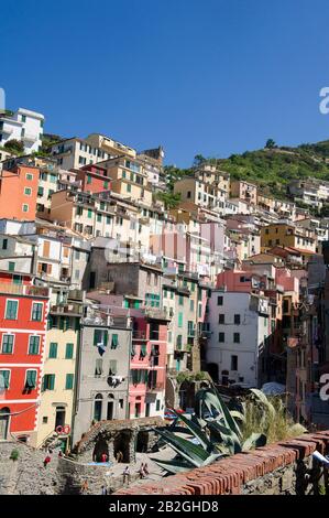 Riomaggiore tiene vistas al mar en la provincia de la Spezia, está en el parque natural de Cinque Terre en Liguria, en el noroeste de Italia. Está en la lista del Patrimonio Mundial de la UNESCO Foto de stock