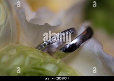 El ramo de la boda y los anillos de plata. DOF superficial