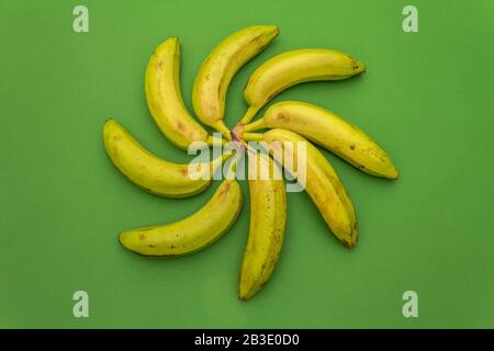 Varios plátanos amarillos-verdes maduros dispuestos en forma de remolino sobre un fondo verde, primer plano, vista superior. Foto de stock