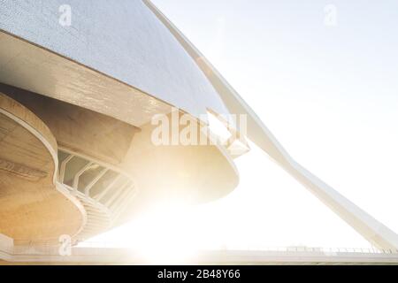 Valencia, España - 17 de febrero de 2020: Detalle del Palau des Arts Reina Sofía con luz solar en la Ciudad de las Artes y las Ciencias diseñado por los arquitectos Santiag Foto de stock