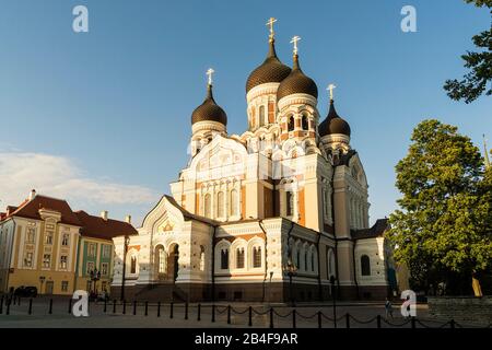 Estonia, Tallin, Domberg, Alexander Nevsky Catedral a la luz de la noche