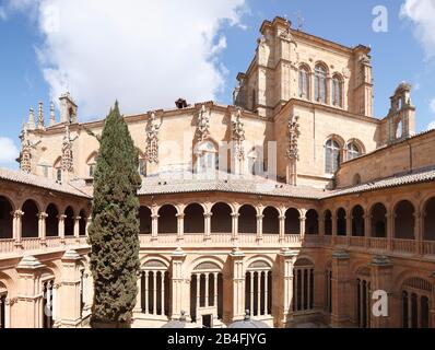 Patio, iglesia y convento de San Esteban, Convento iglesia de San Estéban, Salamanca, Castilla y León, España, Europa Foto de stock