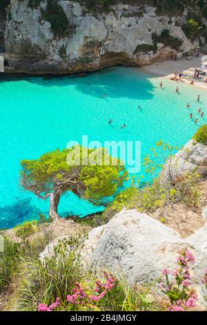 Vista elevada de Cala Macarelleta, Menorca, Islas Baleares, España, Europa
