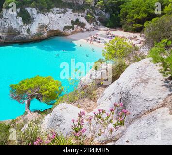 Vista elevada de Cala Macarelleta, Menorca, Islas Baleares, España, Europa