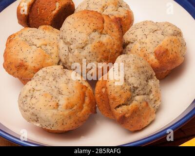 Un grupo de muffins de semillas de amapola de limón en una fuente para servir Foto de stock