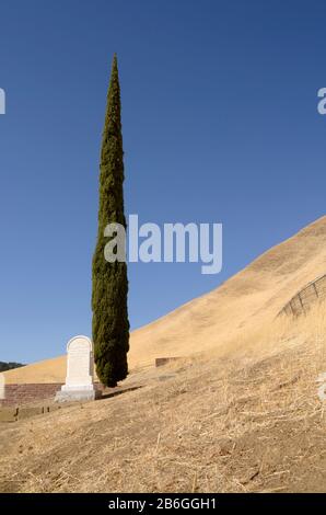 Piedra Angular De Sarah Norton En El Cementerio Rose Hill, Black Diamond Mines, Nortonville, East Bay Regional Park, Antioch, California, Ee.Uu Foto de stock