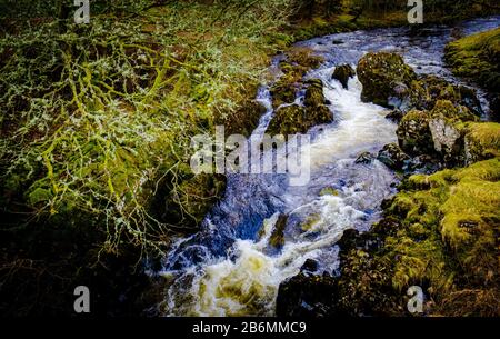 Cascada en el río Tweed en Tweedsmuir, Scottish Borders Foto de stock