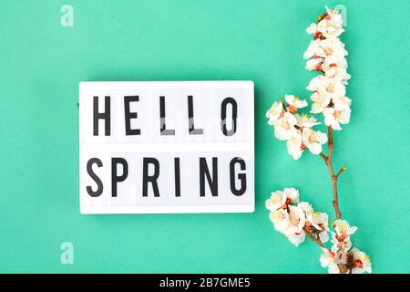 Ramitas de albaricoque con flores, caja de luz con texto Hola primavera sobre fondo verde claro. Llegó el concepto de primavera Foto de stock