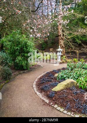 El Jardín Japonés en Valley Gardens en primavera Harrogate North Yorkshire Inglaterra