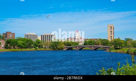 Cambridge a lo largo del río Charles con cielo azul Foto de stock