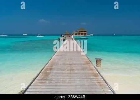 Playa de arena de la isla tropical en las Maldivas