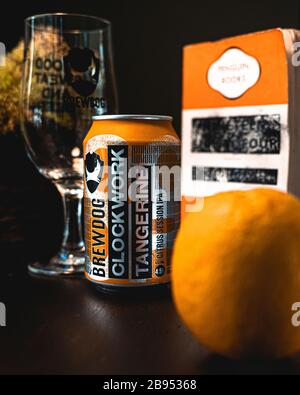 Cerveza Brewdog Clockwork Tangerine IPA 4.5% se infunde con la inyección de producto de tangerine Foto de stock