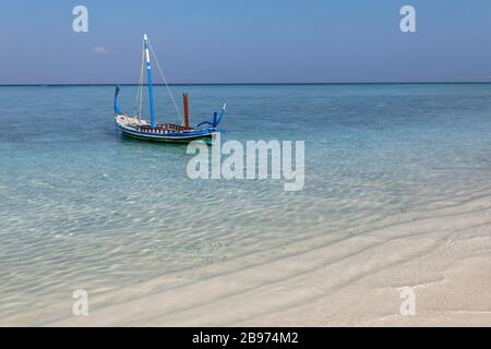 Barco tradicional de Maldivas, dhoni en la playa, isla de verano, North Male Atoll, Maldivas Foto de stock