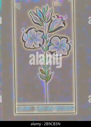 Flor de lis blanca fotografías e imágenes de alta resolución - Alamy