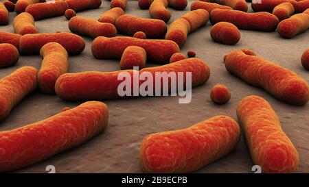 Imagen conceptual de las bacterias.