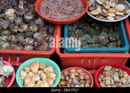 Mercado de Pescado, distrito de Nampo, Busan, Corea del Sur, Asia