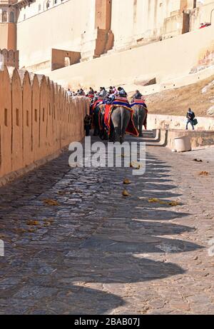 Elefantes llevando turistas a Amber Fort, Jaipur, Rajasthan, India Foto de stock