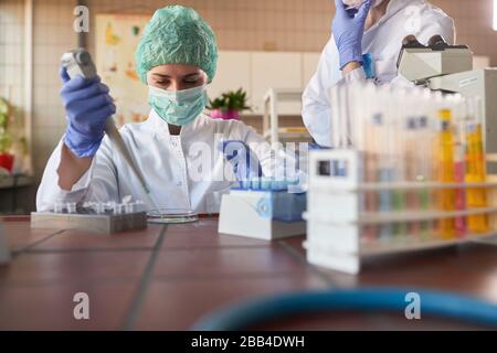 ciencia femenina haciendo investigación en laboratorio analizando un nuevo virus. concepto del virus corona Foto de stock