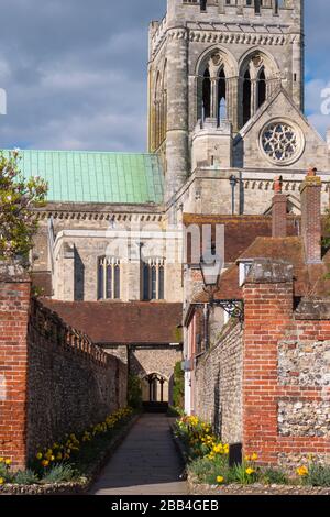Catedral de Chichester Chichester, West Sussex, Inglaterra Foto de stock