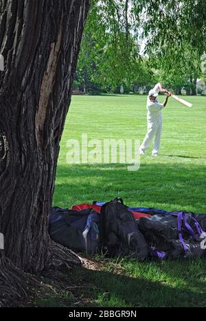 Un jugador de cricket practicando su swing en Riley Park, Calgary, Alberta, Canadá Foto de stock