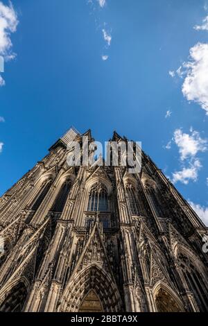 Catedral de Colonia, vista de la faade oeste, en el andamio de trabajo de la torre norte con protección contra rocas Colonia, Alemania,