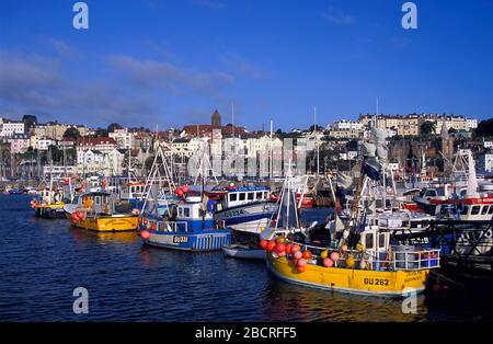 Trawler en el puerto de St. Peter Port, isla Guernsey, Islas del Canal, Reino Unido, Europa Foto de stock