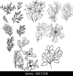 Conjunto de flores en gráficos vectoriales, en un estilo lineal, para la  decoración de fondos de escritorio, tatuajes, portadas de cuaderno, papel  para envolver, impresión para ropa, estikers Imagen Vector de stock -