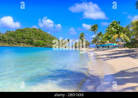 Hermosa playa de arena blanca, mar turquesa, palmeras, Saltwhistle Bay, Mayreau, Grenadines, San Vicente y las Granadinas, Caribe Foto de stock