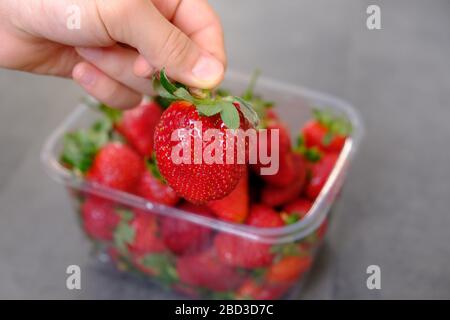 1 Kg De Fresas Frescas En Una Caja De Plástico Sobre Fondo De Madera Gris  Imagen de archivo - Imagen de fresas, gris: 178246975