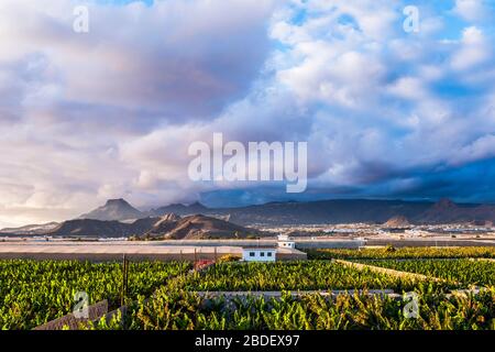 España, Islas Canarias, plantación de plátanos con montañas en el fondo Foto de stock