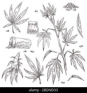 Medicina alternativa, planta de cannabis y pastillas de marihuana Imagen  Vector de stock - Alamy