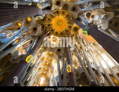 Vista interior del techo de la basílica de la Sagra Familia que muestra pilares de bosque y decoración como filtros de luz a través del techo.