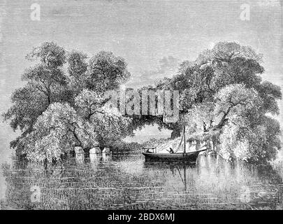 África Central, Lago Victoria, siglo XIX Foto de stock