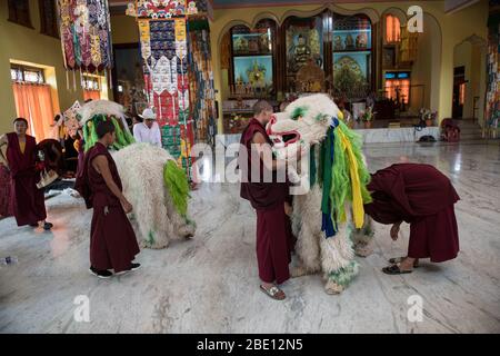 Monjes tibetanos se preparan para el baile Cham, realizado durante Losar (año Nuevo Tibetano) en el asentamiento Tibetano Gurupura, Karnataka, India del Sur. Foto de stock