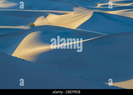Hermoso paisaje de Mesquite Flat Sand Dunes. Parque Nacional del Valle de la muerte, California, Estados Unidos.